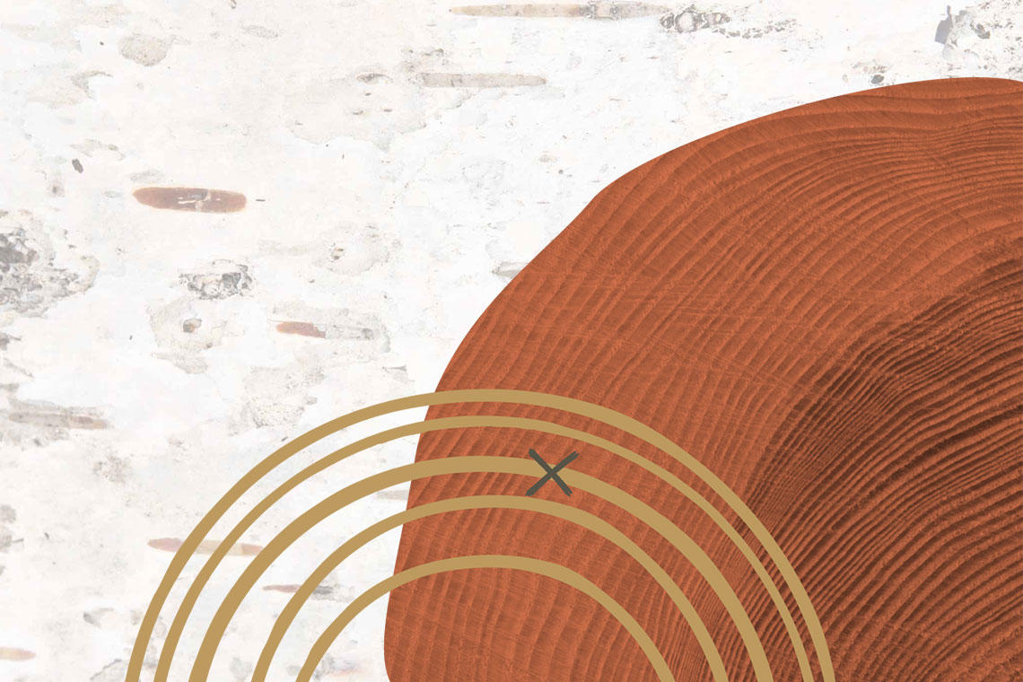 Graphique de cerceau 2.