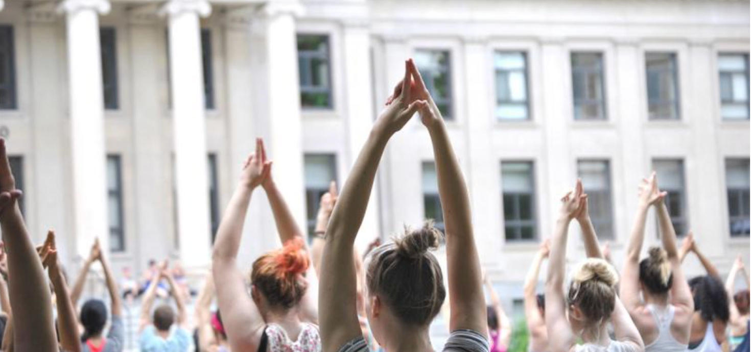 Des employés faisant du yoga sur la pelouse du Tabaret.