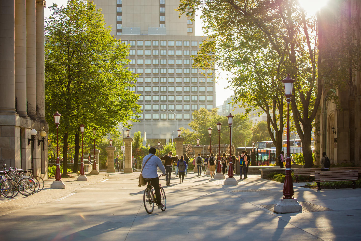 Campus in summer