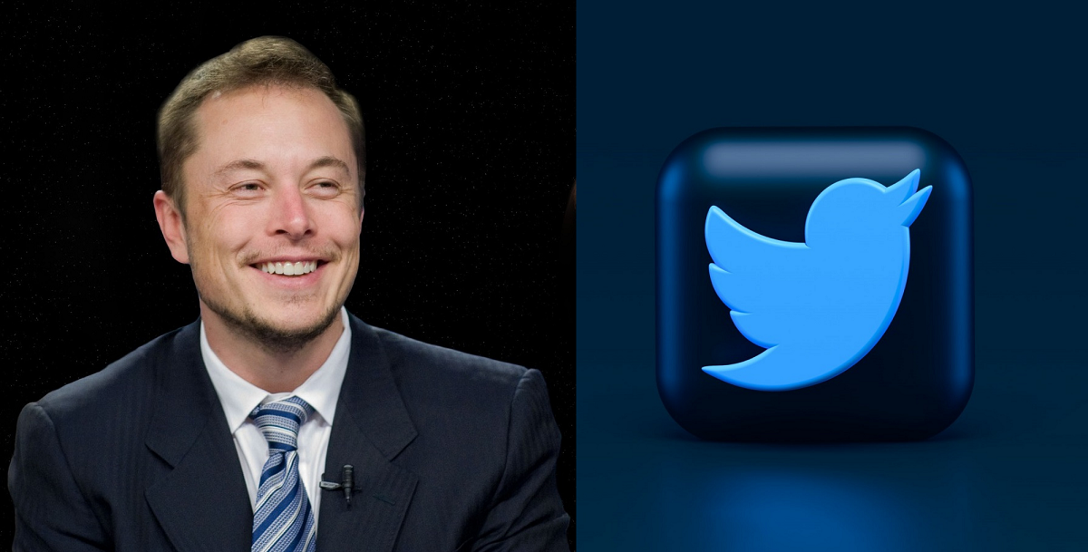 Collage de Elon Musk et le symbole Twitter