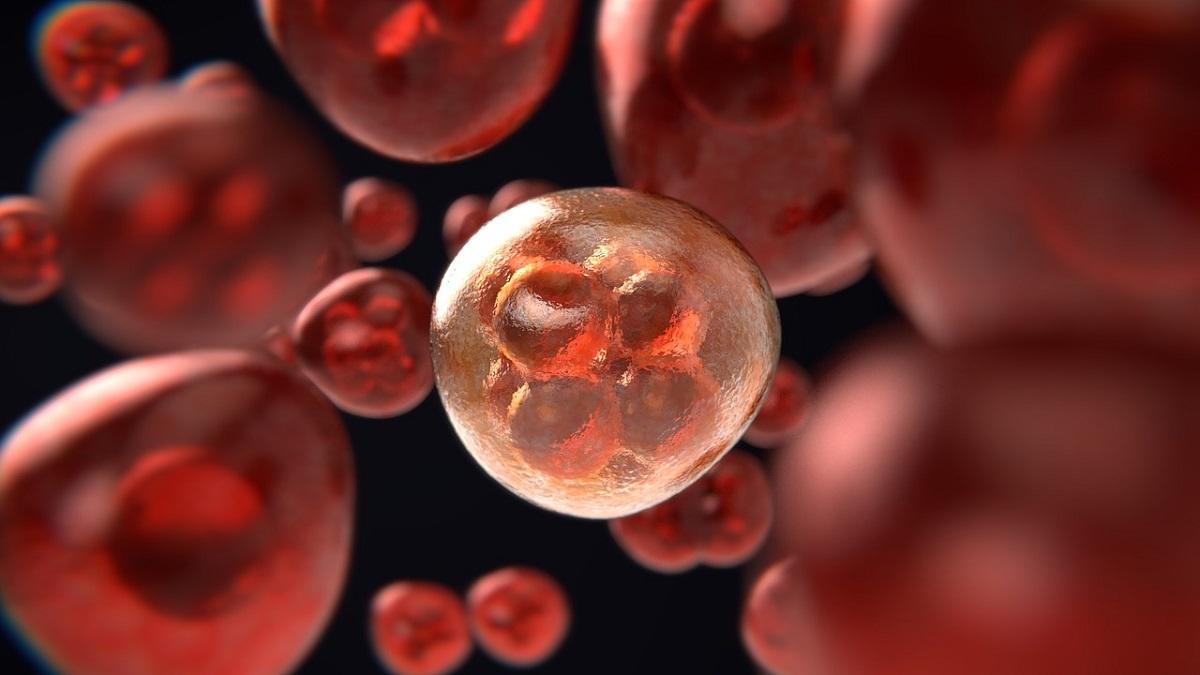 La division cellulaire représentant le cancer