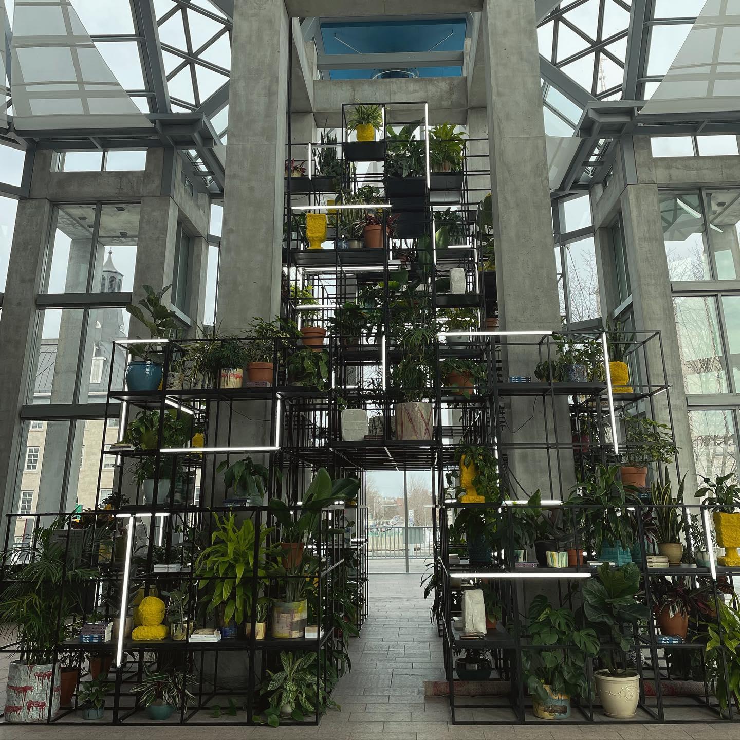 Installation d'une galerie d'art avec des plantes