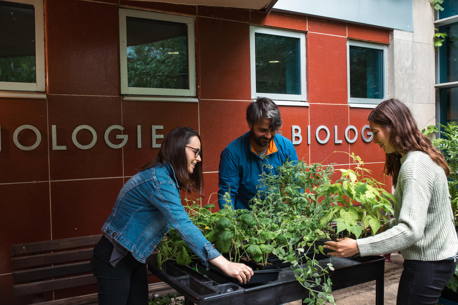 Michelle Brazeau (à gauche) et Curtis Fowke (au milieu) livrent des plants à leur partenaire, Holly Gordon
