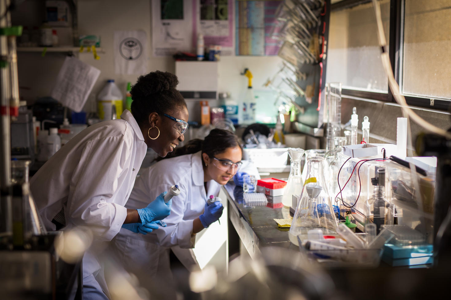 Les chercheurs dans leur laboratoire