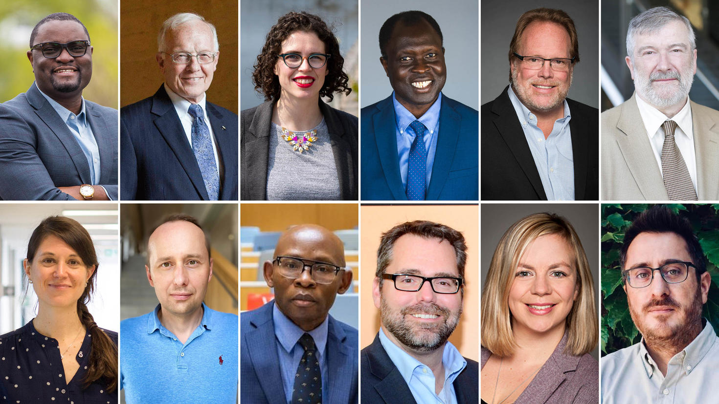 De gauche à droite, en haut : Jude Mary Cénat, Paul Corkum, Elizabeth Dubois, Mamadou Fall, Stephen Ferguson, Trevor Hall. En bas : Eva Hemmer, Peter Jaskiewicz, Chidi Oguamanam, Derek Pratt, Katey Rayner et Vincent Tabard-Cossa