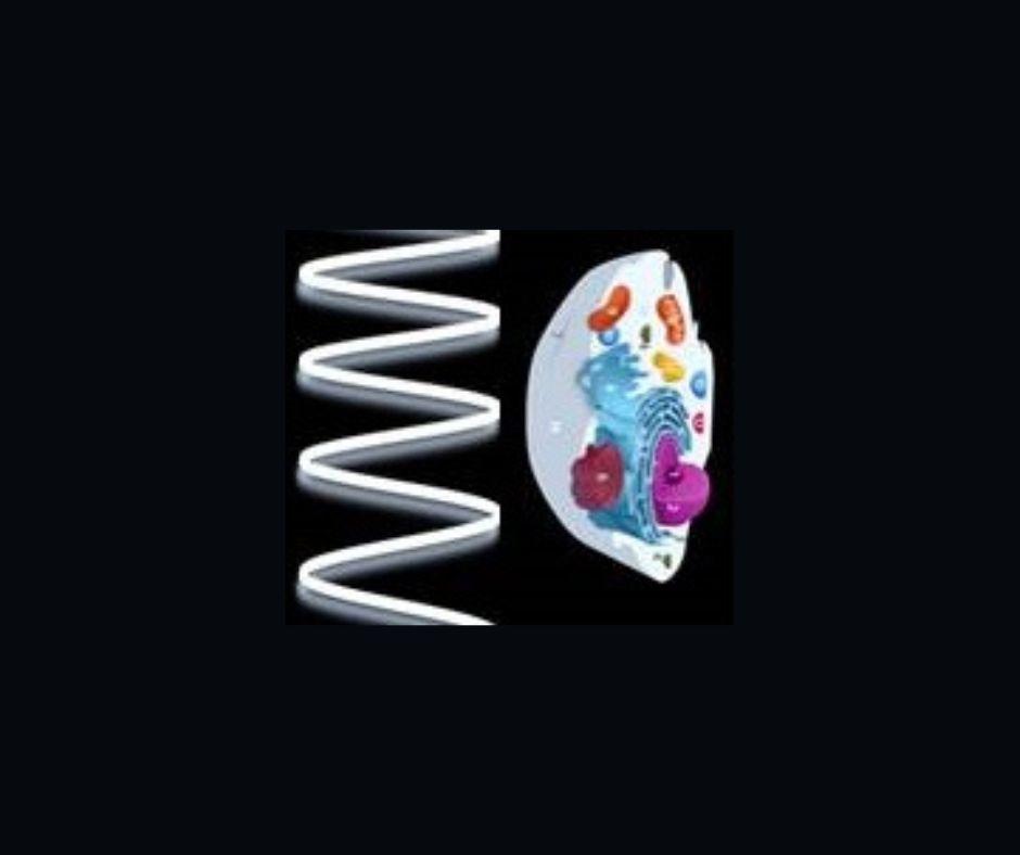 Rayonnement infrarouge