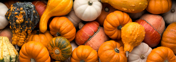 pumpkins