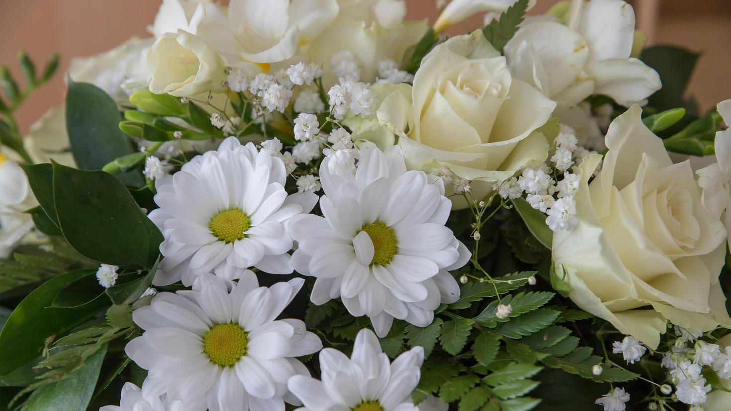 fleurs blanches