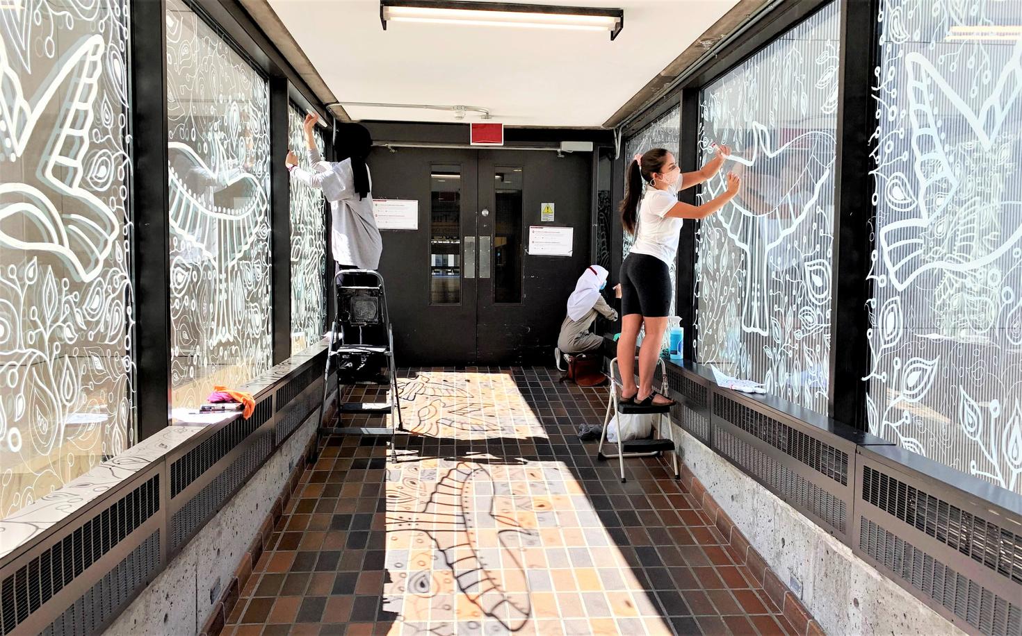 Des étudiants peignent une fresque d'oiseaux sur la fenêtre