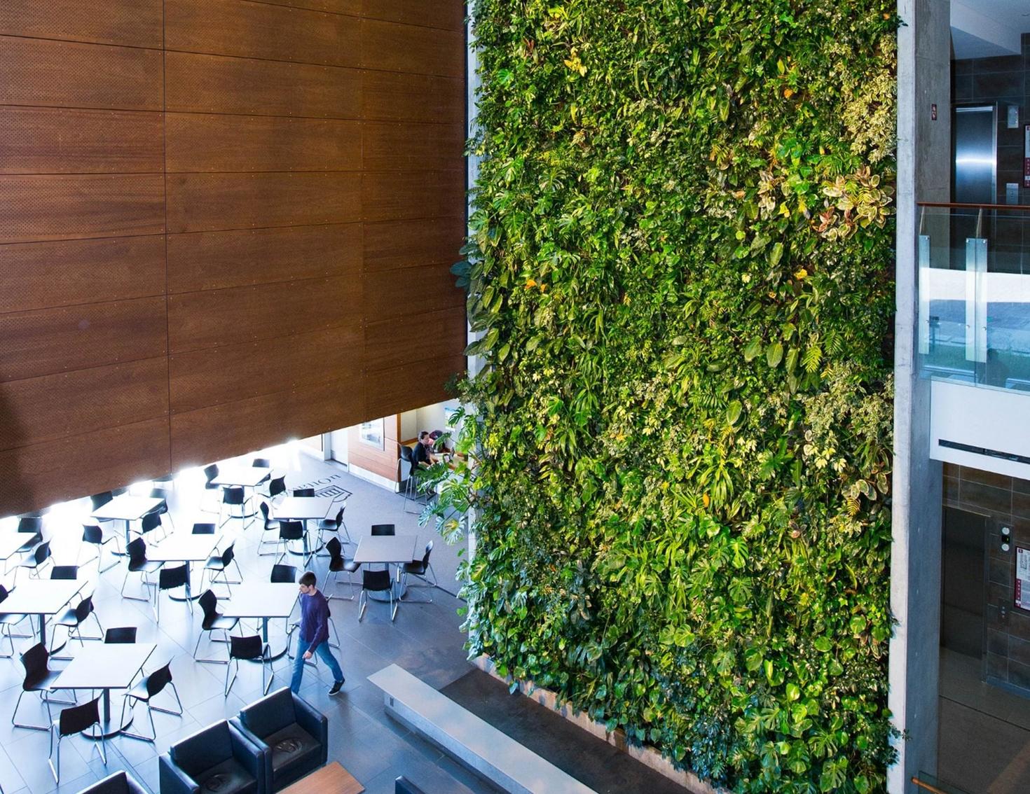 Mur végétal à la Faculté des sciences sociales