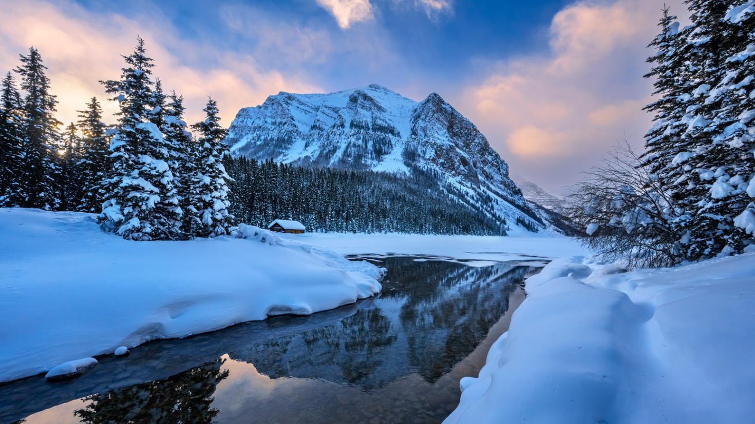 Paysage d'hiver