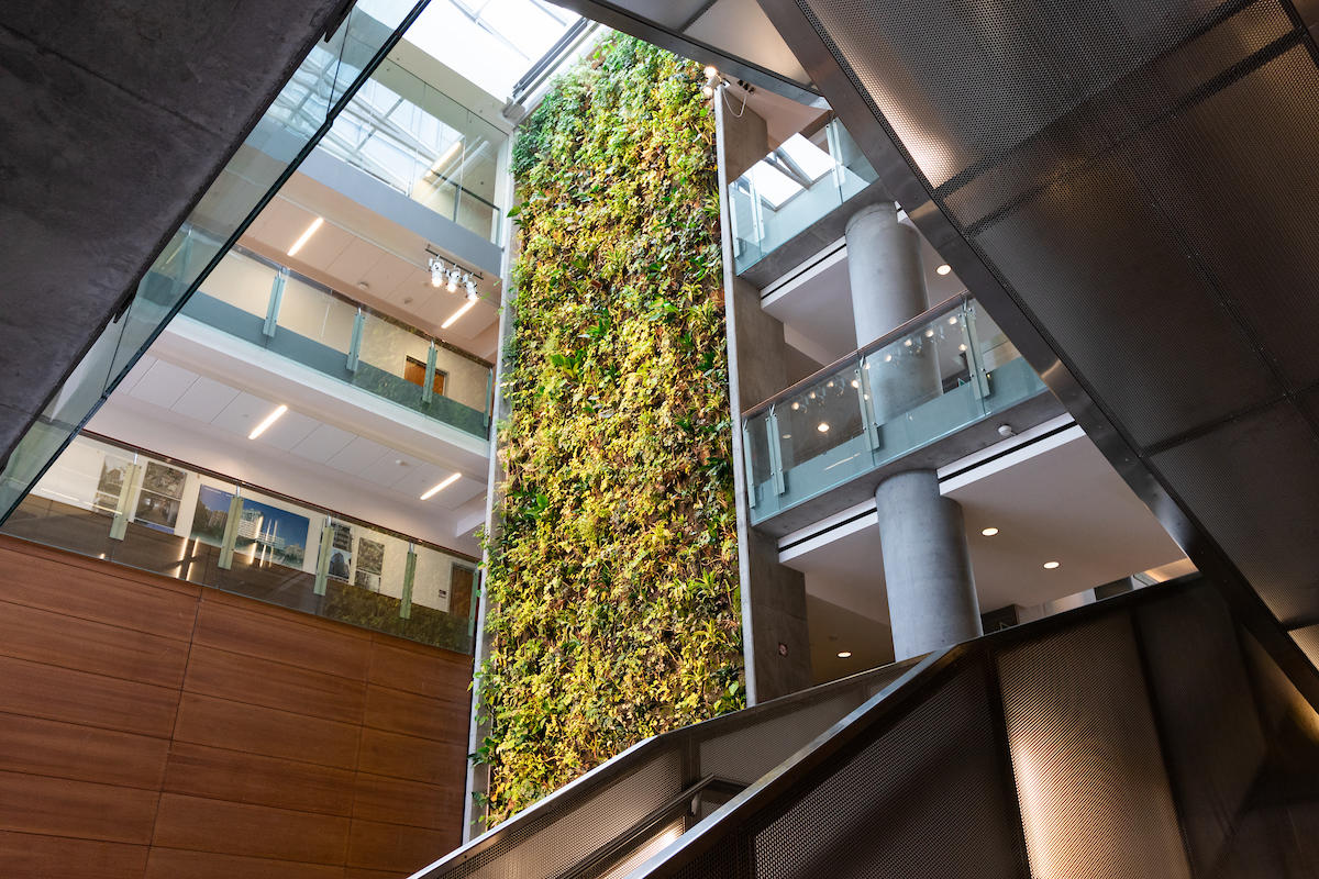 Green wall in FSS building