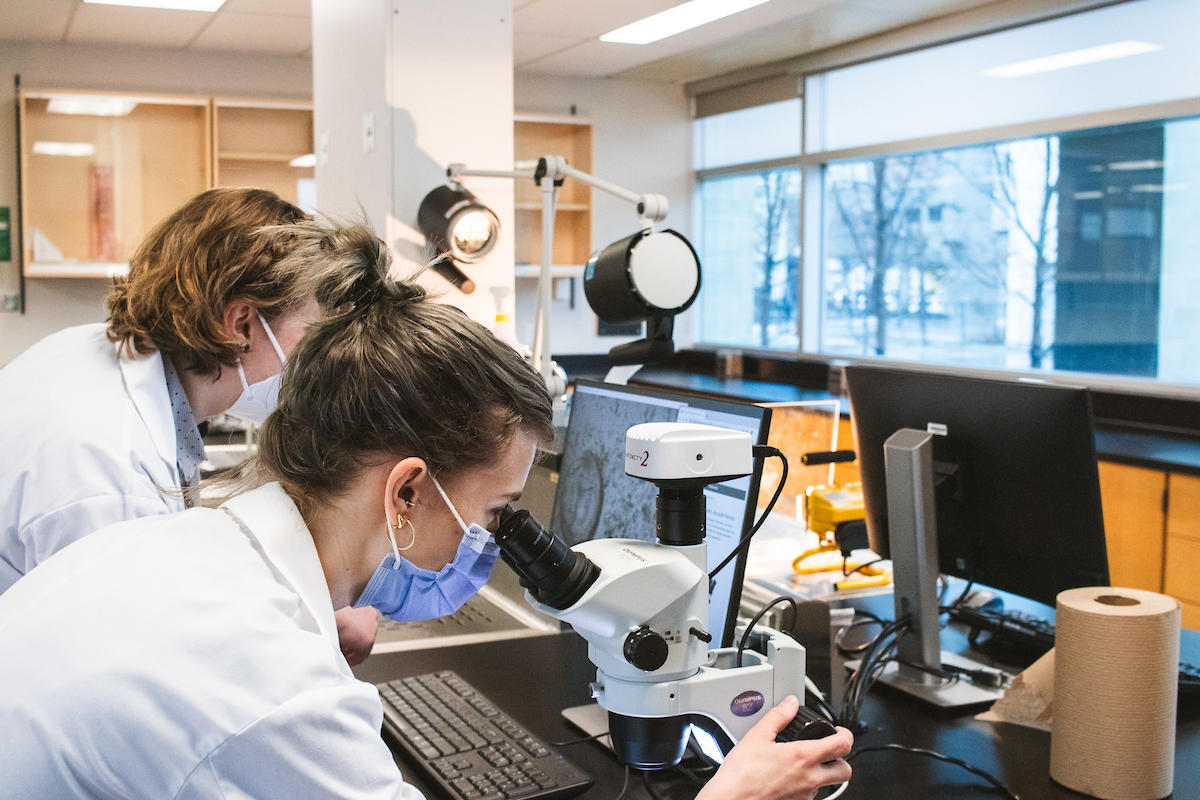 Chercheuses dans un laboratoire, regardant à travers un microscope