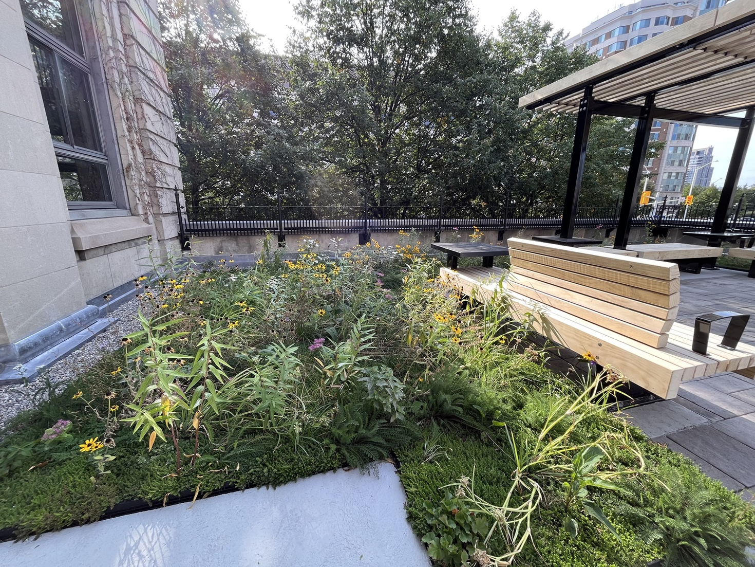 Toit vert de la terrasse de Tabaret