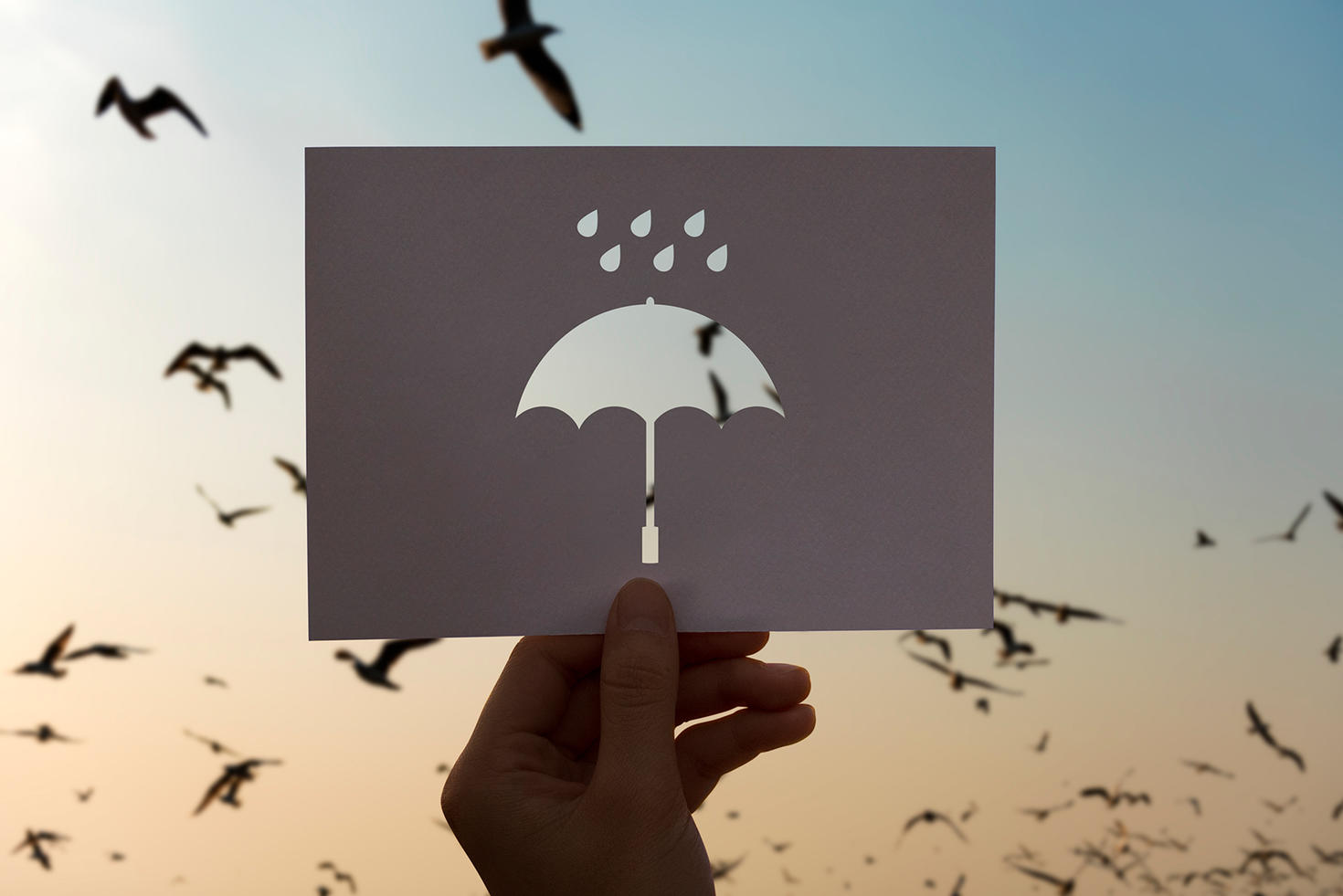 Parapluie sur un fond sombre