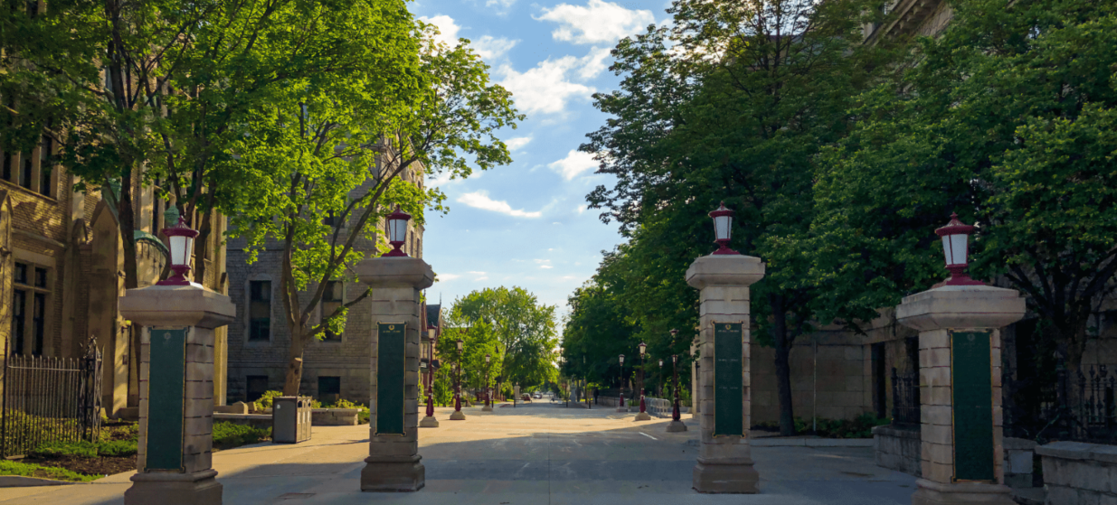 Tree filled gateway at uOttawa