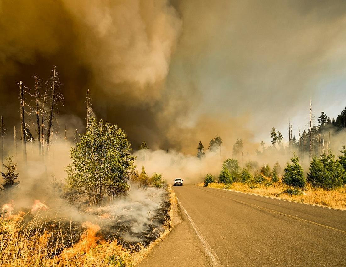 Voiture fuyant le feu de forêt