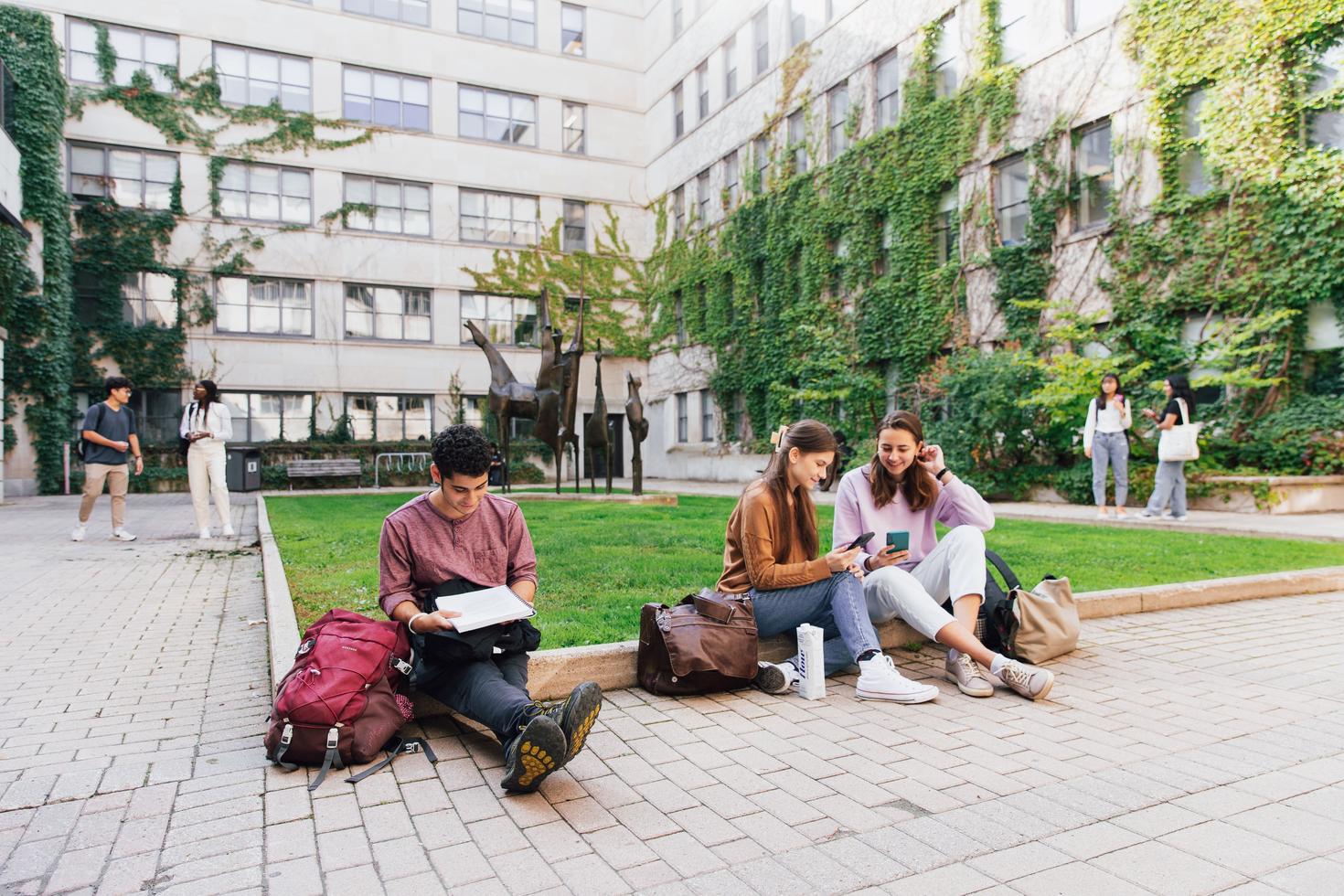 3 étudiants qui lisent assis sur la pelouse