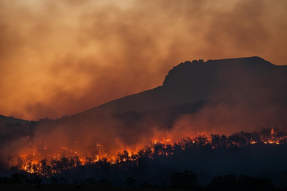 Incendie de forêt la nuit