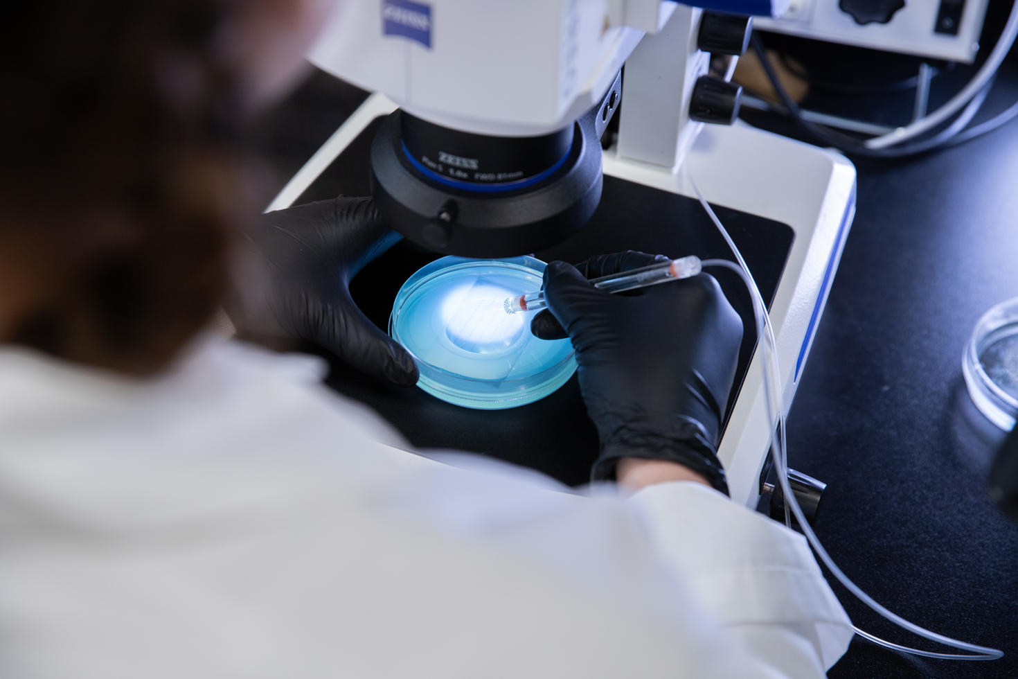 gros plan sur une personne effectuant des tests au microscope