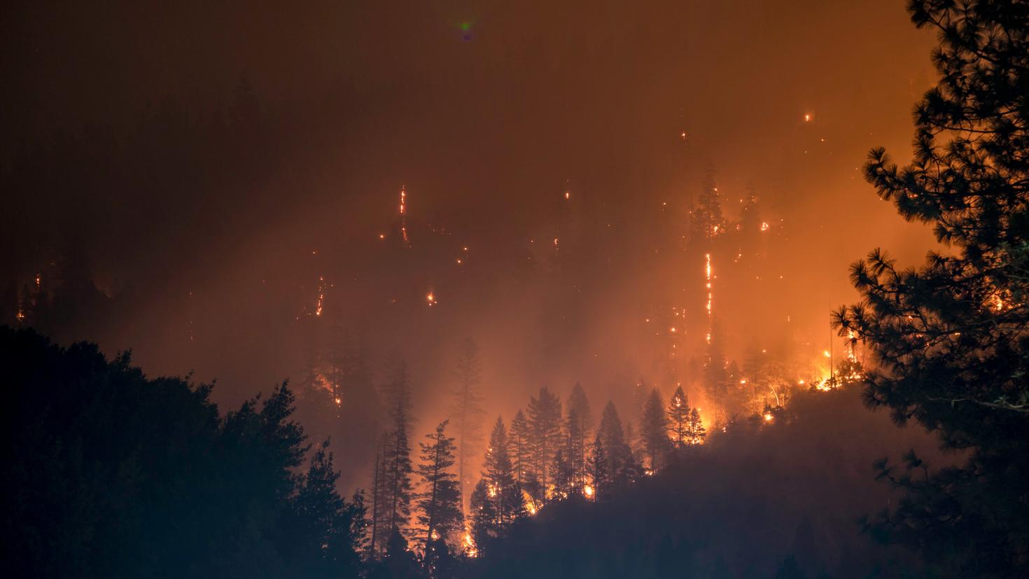 Les effets de la pollution atmosphérique provoquée par les feux de forêt