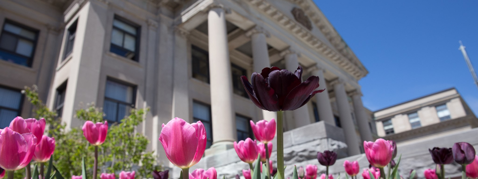 Pavillon Tabaret - Université d'Ottawa
