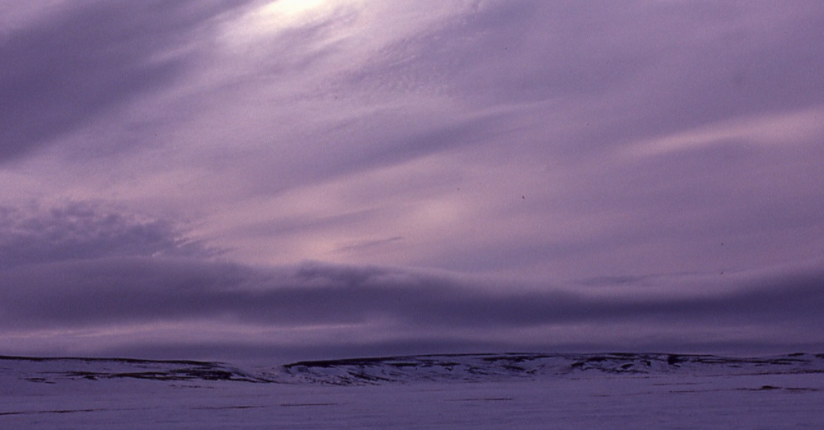 Le printemps sur l'île Banks