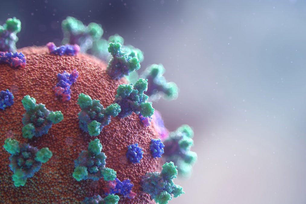 Variante de Covid au niveau microscopique