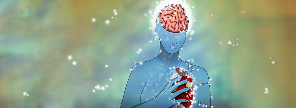 Illustration montrant une femme, son cerveau et son coeur