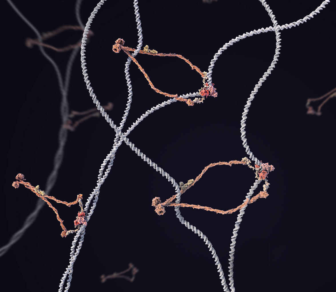 Profil de Dr D'Amours