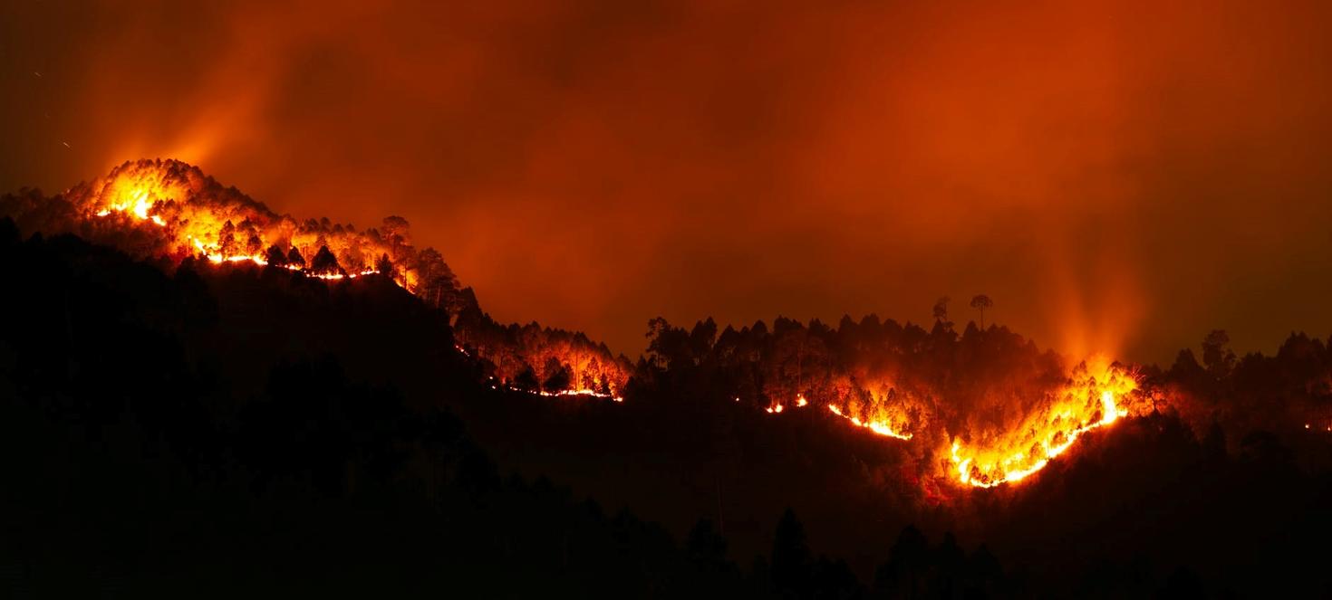Un incendie de forêt fait rag