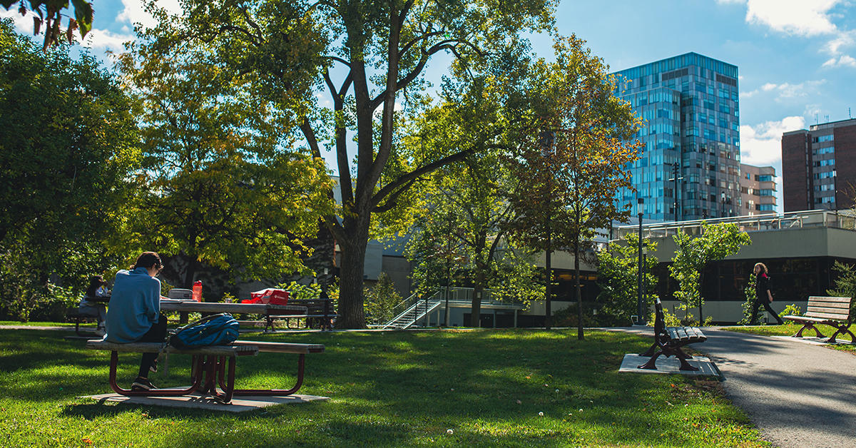 Campus ensoleillé et vert