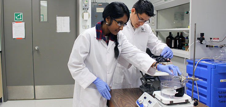 Professor Jean-Philippe St-Pierre working in lab