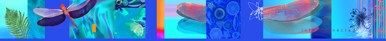 Motion in Air (Ma) by Jennifer Macklem