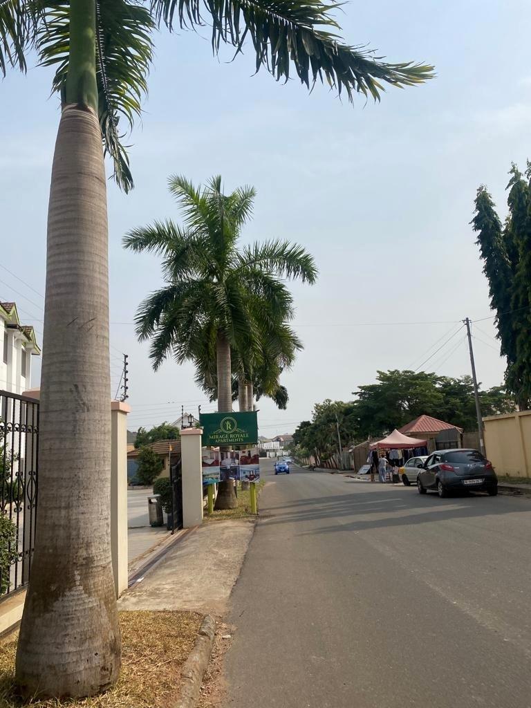 A neighborhood with palm trees on the left side of the road.