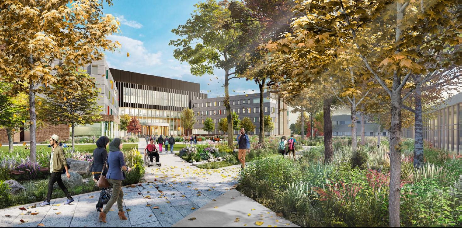 rendering of an outdoor space