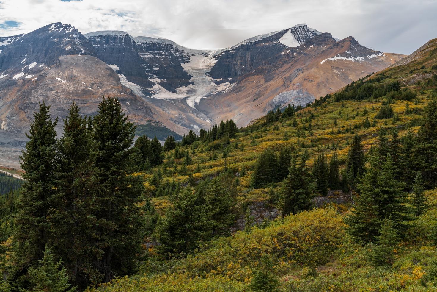 BC Landscape