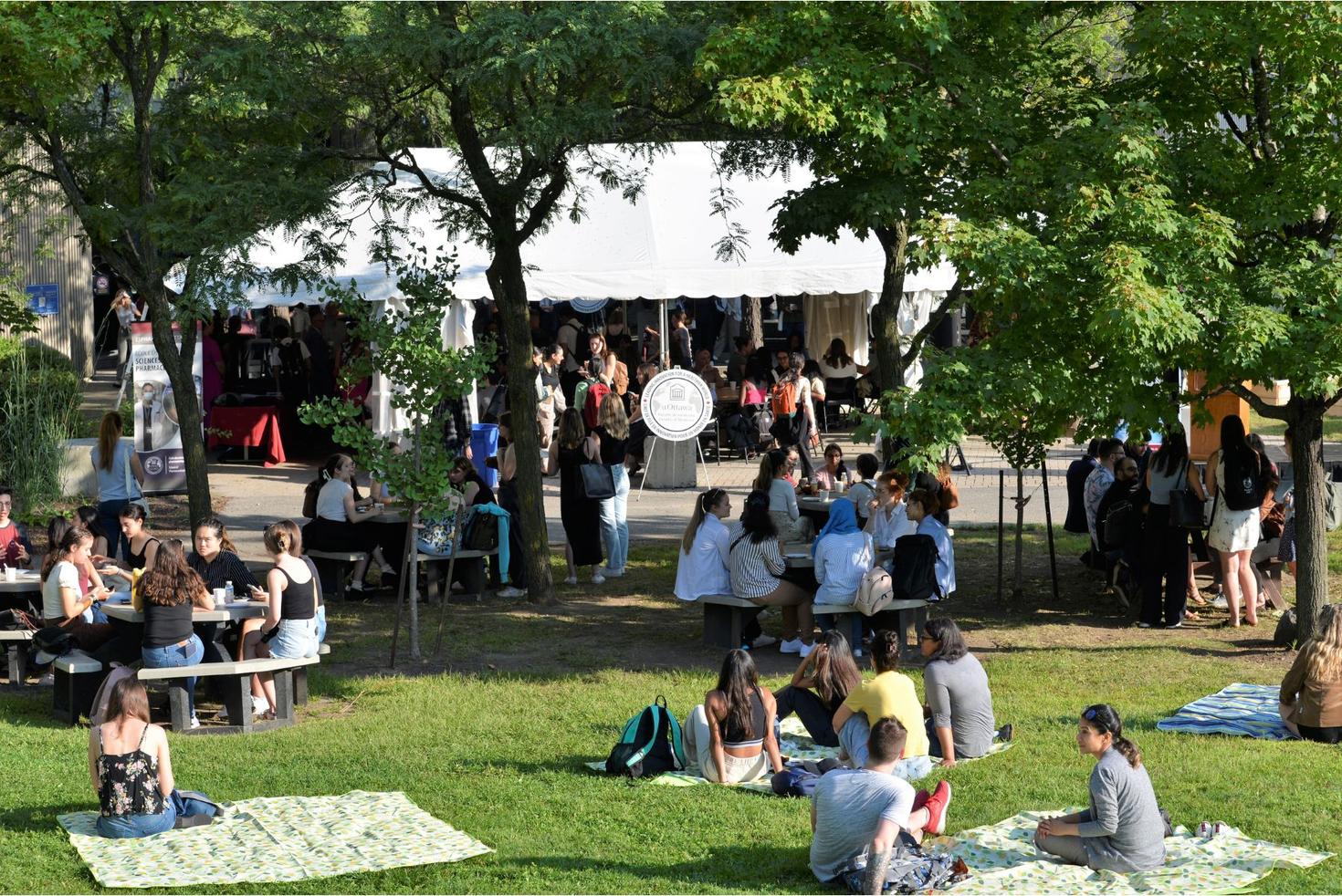 Des apprenants installés sur l'herbe