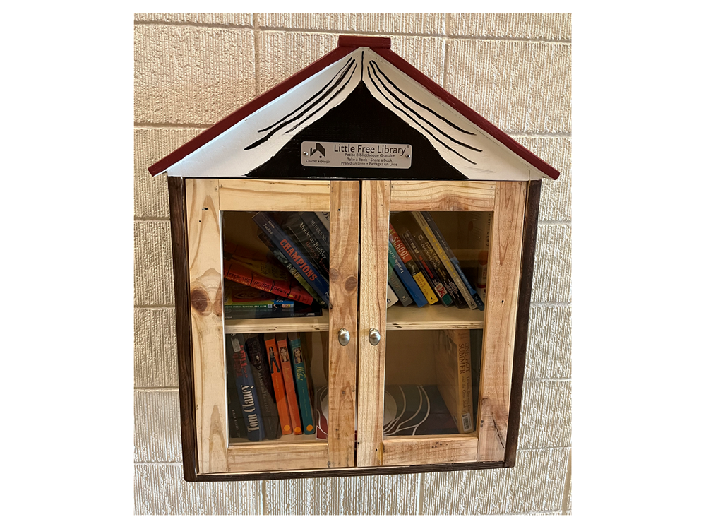 Little Free Libraries box 