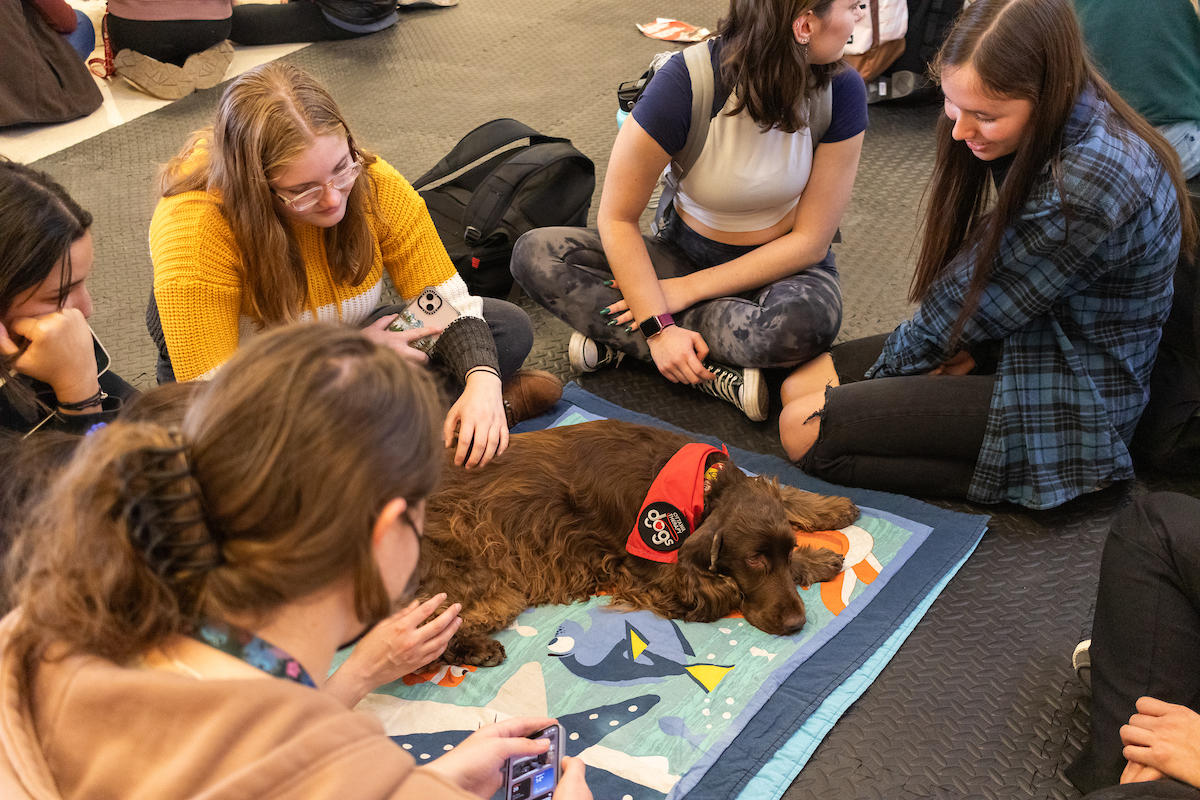 students at a therapy dog session