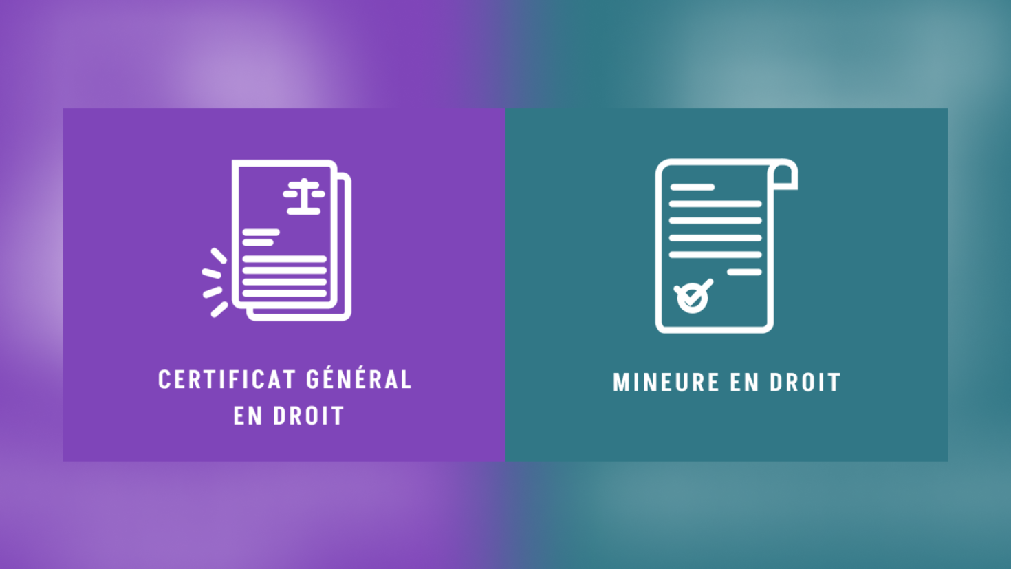 certificat-general-mineure-droit-r169-1600x900