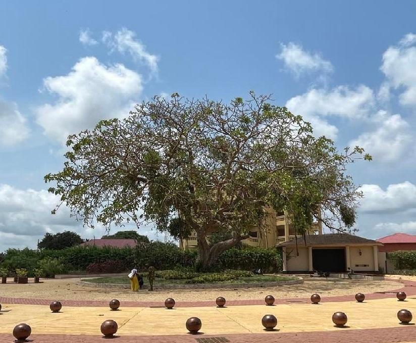 Tree in front of a house in the village of Ouidah, Benin