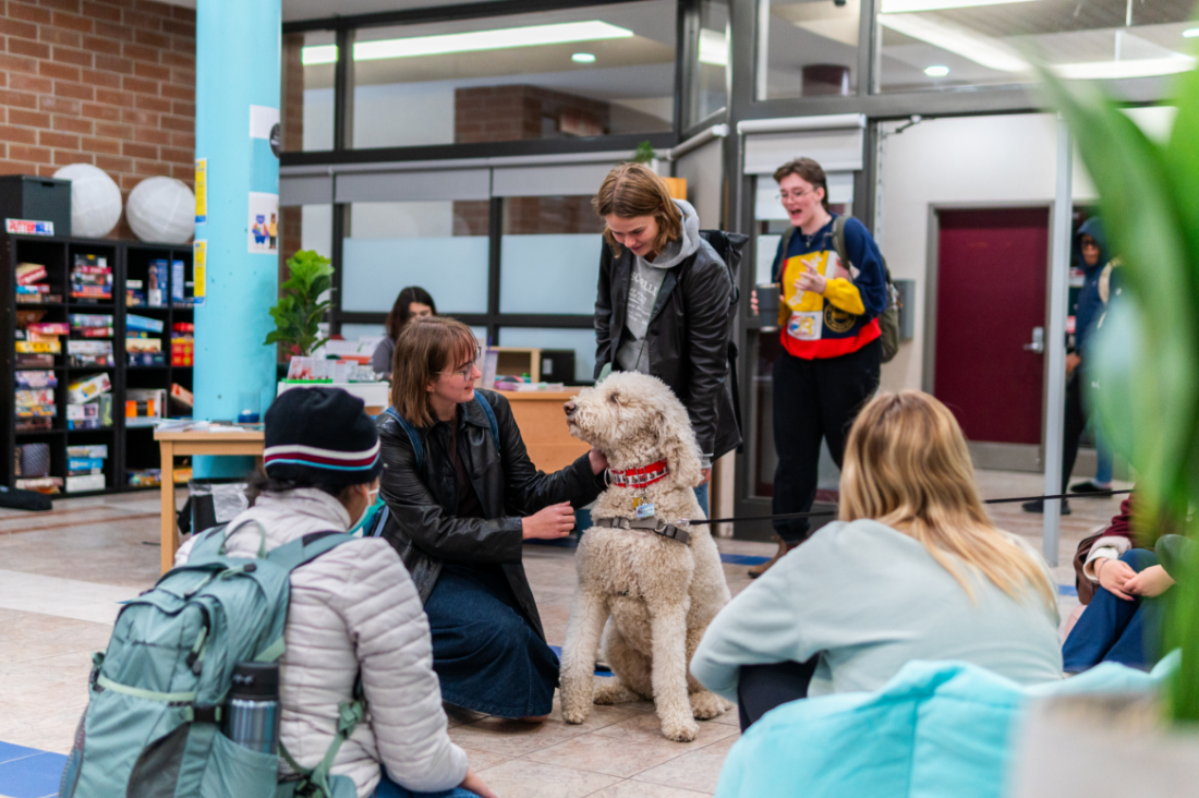 Therapy dog and students