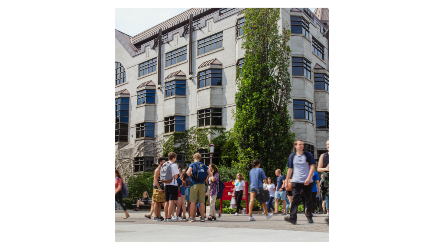 Call for applications: Research Chairs OLBI at Faculty of Arts