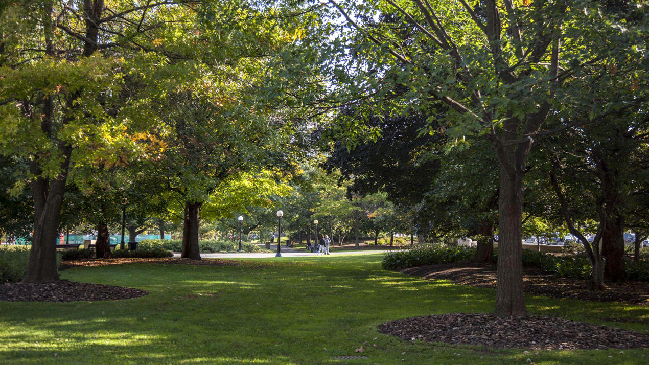 Une pelouse verte entourée d'arbres au parc de la Confédération.