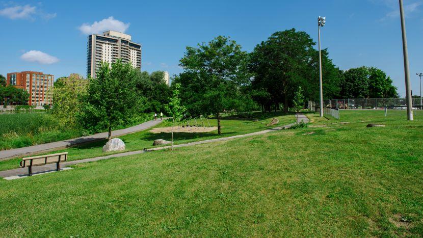 Un champ vert et vallonné avec des sentiers de promenade au parc Riverain.