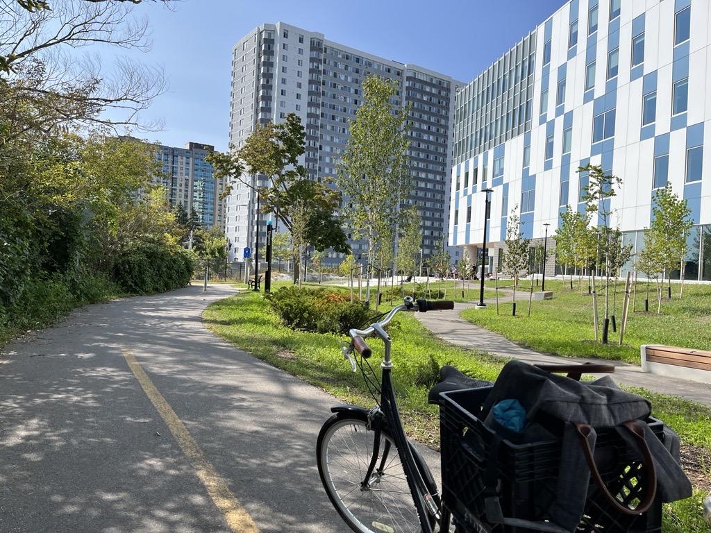 cycling on uOttawa campus