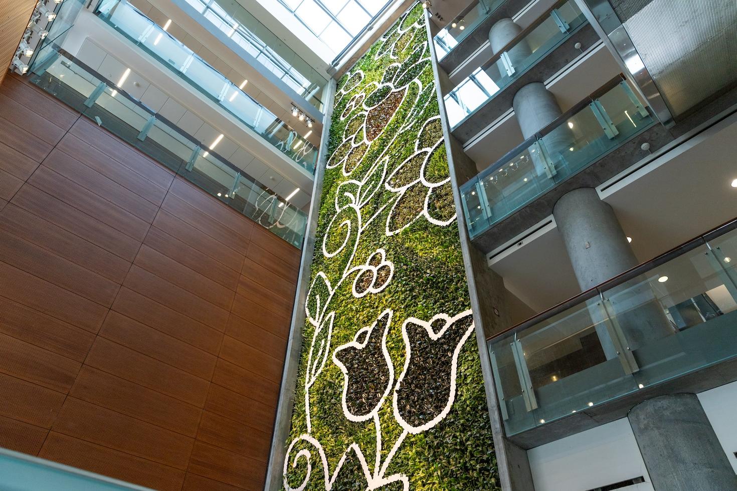 Living wall in the Faculty of Social sciences - May 2024