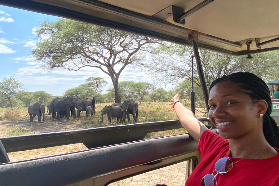 Amarachi with elephants