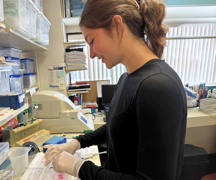 A person wearing latex gloves working at a laboratory bench